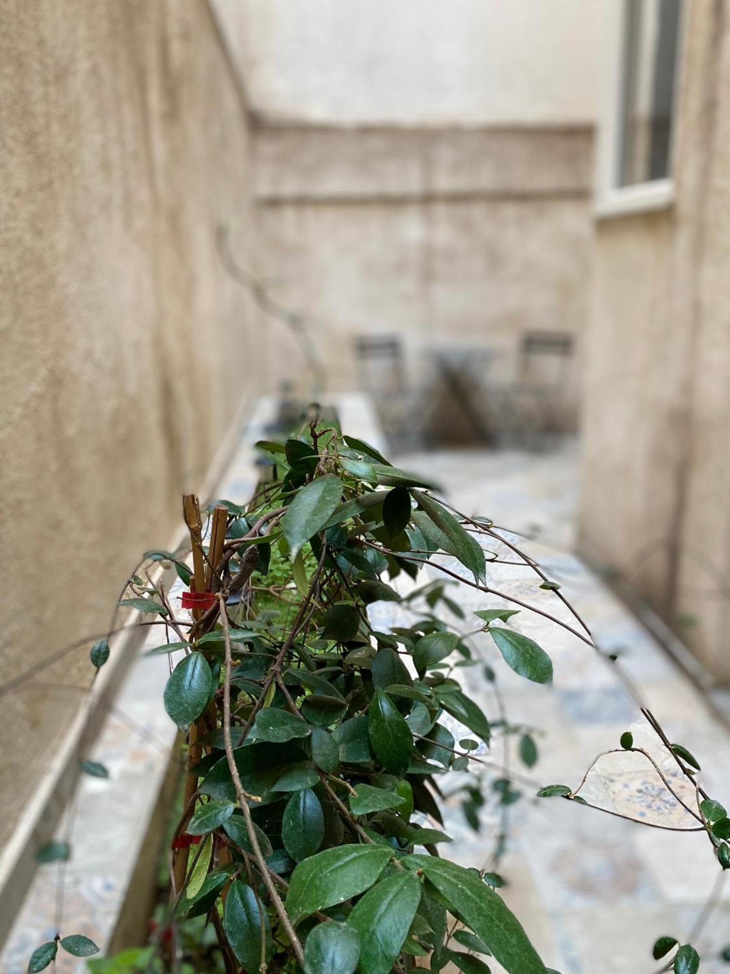 A Place 4 U Below Acropolis Apartment Athens Ngoại thất bức ảnh